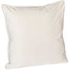 Picture of Cream Velvet Pillow 18 Inch *P