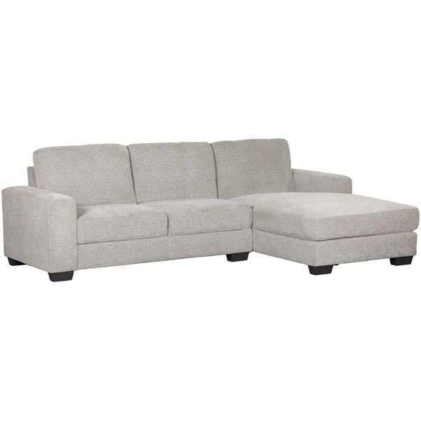 Charleston Light Gray 2 Piece Sectional, Light Gray Sofa With Chaise