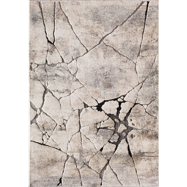 Picture of Grey Beige Crackle 5x7 Rug