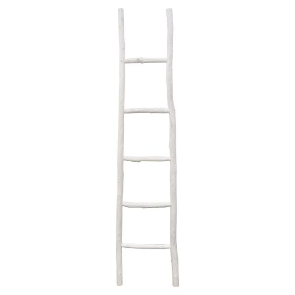 Picture of White Wood Ladder Decorative