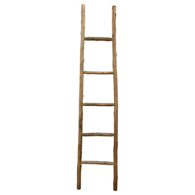 Picture of Wood Ladder Natural