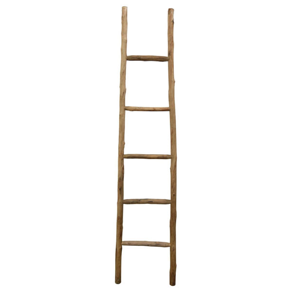 Picture of Wood Ladder Natural