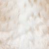 Picture of 40x60 Aslan Faux Fur Throw