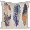 0099409_three-feathers-18-inch-pillow-p.jpeg