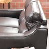 Picture of Carrington Leather Sofa