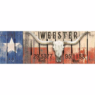 Picture of Texas Longhorn Webster Sign