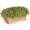 Picture of Faux Plant in Wood Box
