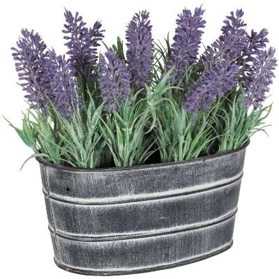 0101347_lavender-in-metal-pot.jpeg