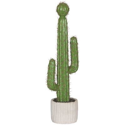 Picture of Tall Cactus