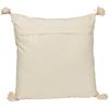 Picture of Imperial Velvet 20X20 Decorative Pillow