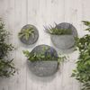 Picture of Set 3 Metal Wall Planters