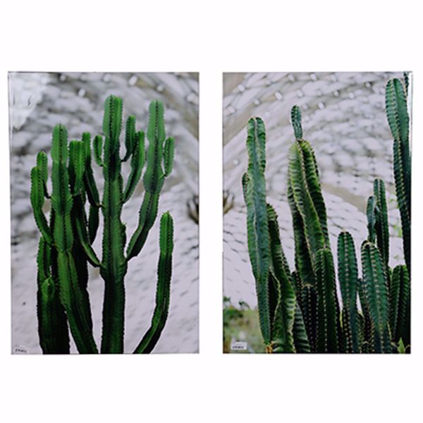 Picture of Set Two Cactus Wall Art