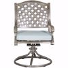 Picture of Macon Patio Swivel Rocker with cushion