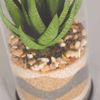 Picture of Layered Sand Succulent