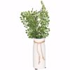 Picture of Ferns In Vase With Tie