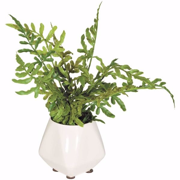Picture of Ferns In Ivory Vase