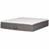 0110309_surpass-plush-king-mattress.jpeg