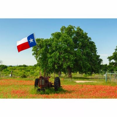 0113756_old-texas-tractor-32x48-d.jpeg