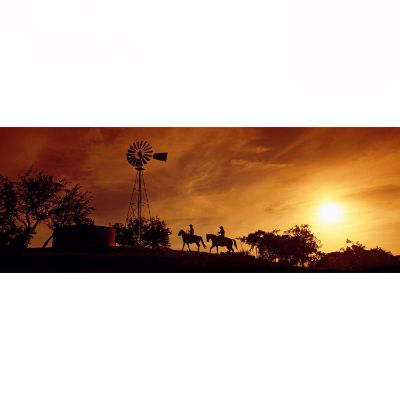 0113758_horse-back-sunset-20x60-d.jpeg
