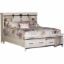 Picture of Dakota Queen Bookcase Storage Bed