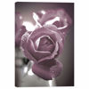 Picture of Dusty Rose Buds 36x24 *D
