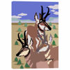 Picture of Pronghorn Cluster Cluster 24x36 *D