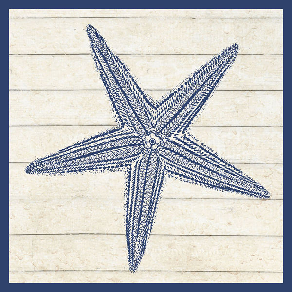 Picture of Starfish Sand Star Wall Decor