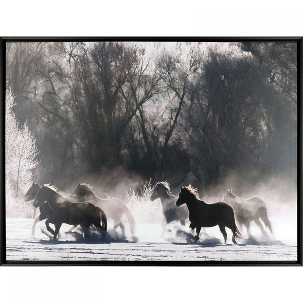 Picture of Rush Hour Horses Wall Decor