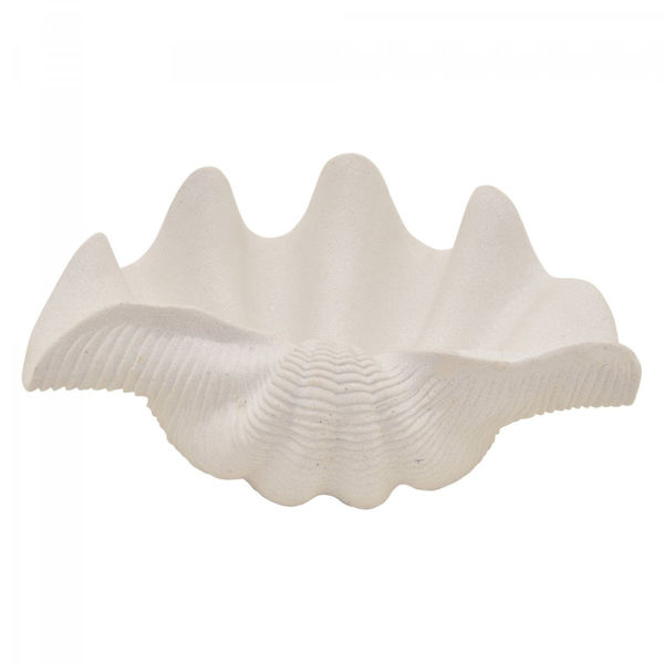 Picture of White Clam Shell Bowl