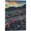 Picture of Big Bend Ranch SP Cactus 48X32 *D