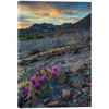 Picture of Big Bend Ranch SP Cactus 48X32 *D