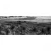 Picture of Sotol Vista BW Pano 20X60 *D