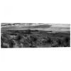 Picture of Sotol Vista BW Pano 20X60 *D