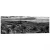 Picture of Sotol Vista BW Pano 20X60 *D
