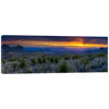 Picture of Sotol Vista Sunset 20X60 *D