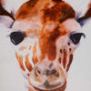 Picture of Jeffory Giraffe 18x18 Inch Pillow *P