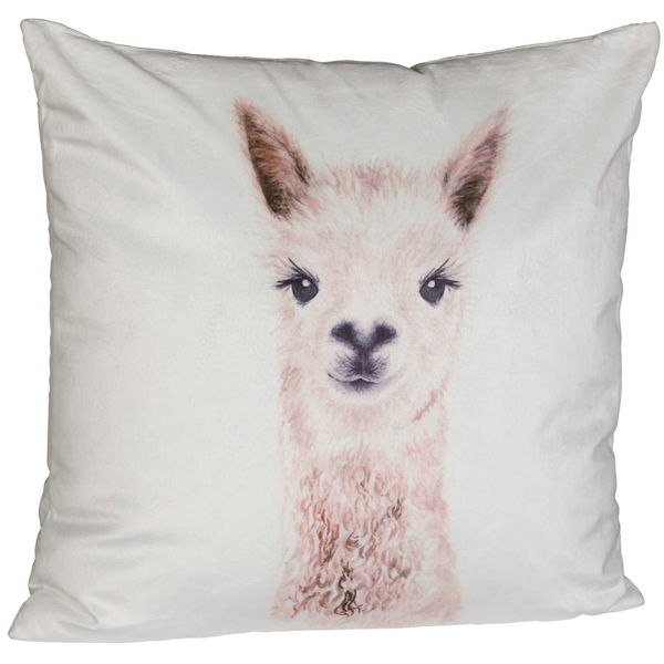 Picture of Llama Llama 18x18 Inch Pillow *P