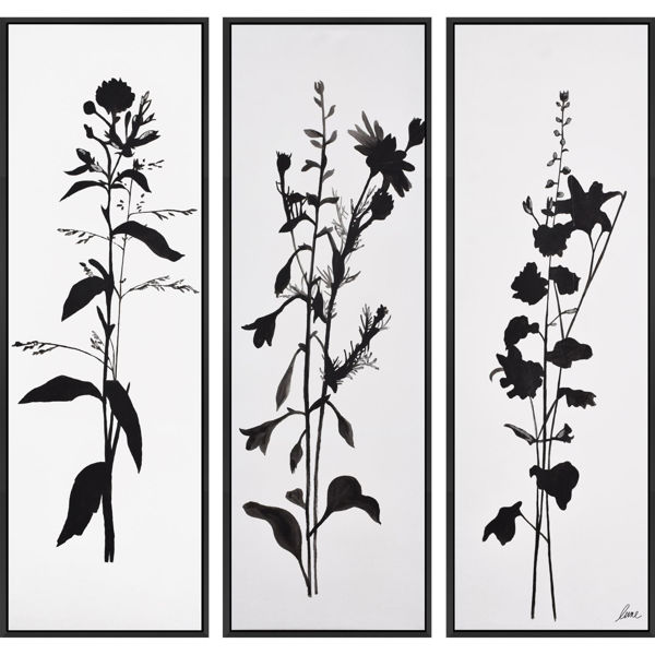 Picture of Set of 3 Botanicals Canvas Art