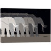 Picture of Tuskers 36x24 *D