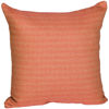 0121704_16-accent-throw-pillow.jpeg