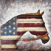 Picture of Metal American Horse Wall Decor
