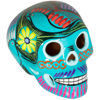 Picture of Aqua Multicolored Skull