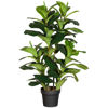 Picture of Faux Ficus Plant