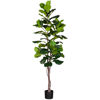 Picture of Faux Tall Ficus Tree