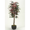 Picture of Red Ficus Tree 72 In W Metal C