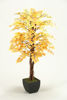 Picture of Fall Aspen Tree 48 Inch With Metal