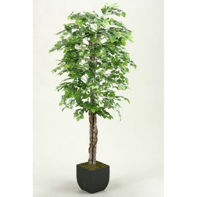 0124038_green-aspen-tree-72-inch-with-metal.jpeg
