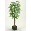 Picture of Green Aspen Tree 72 Inch With Metal