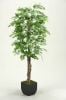 0124039_green-aspen-tree-72-inch-with-metal.jpeg