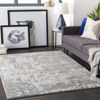Picture of Seaborn Multi Gray Ivory 8x10 Rug